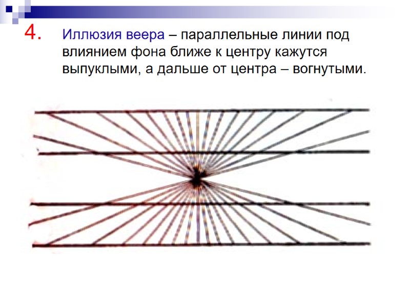 Иллюзия веера – параллельные линии под влиянием фона ближе к центру кажутся выпуклыми, а